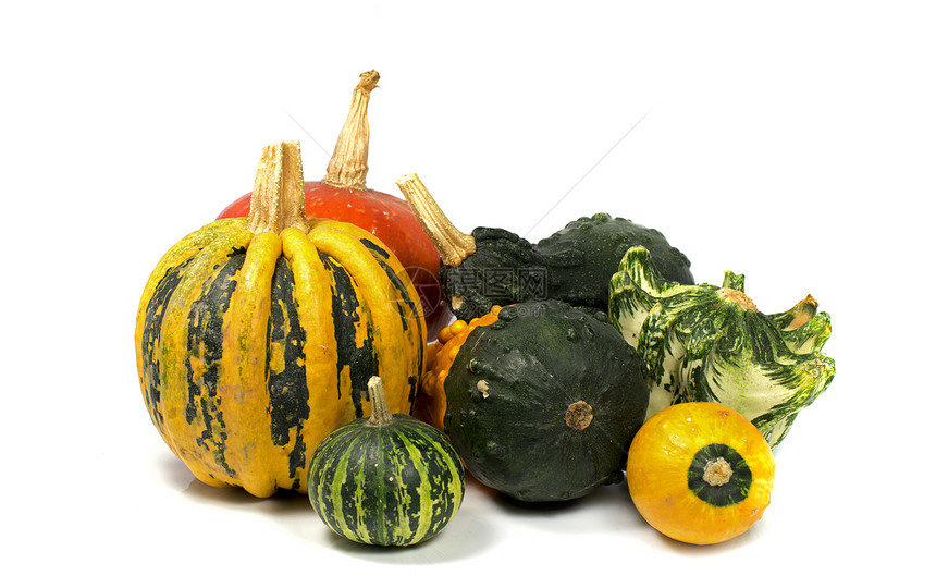 水果装饰品南瓜蔬菜农业黄色收成绿色壁球食物红色葫芦图片