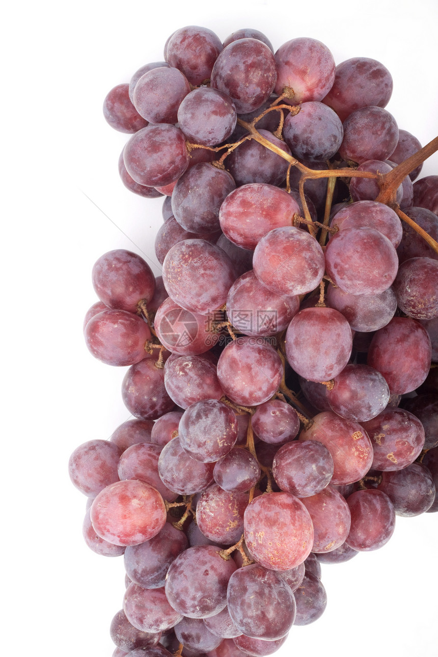 葡萄水果浆果美食季节酒厂植物茶点蓝色酿酒藤蔓图片