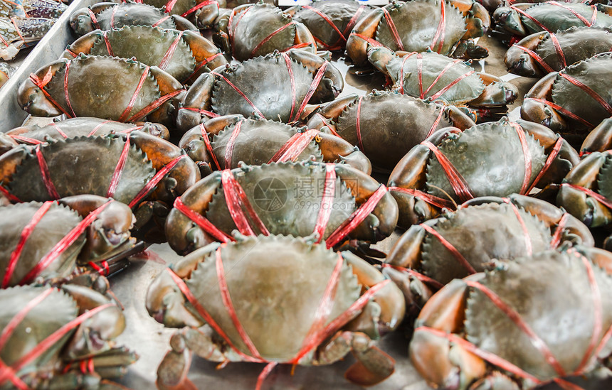 新鲜螃蟹海鲜动物荒野美食美味环境烹饪小路居住食物图片