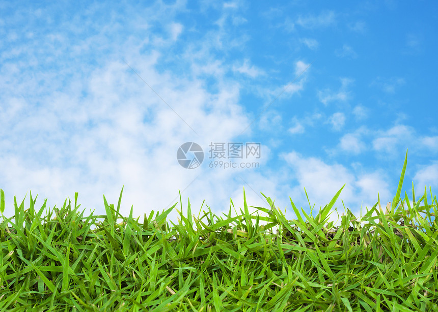 绿草和蓝天空草地植物群生长爬坡草本植物天气牧场土地天空自由图片