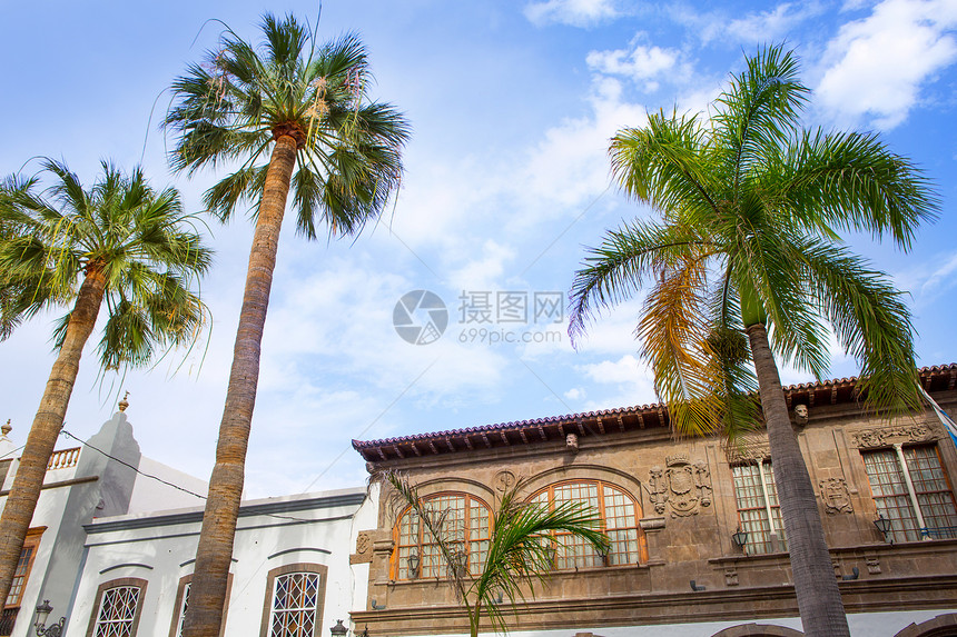 圣克鲁斯德拉帕尔马广场埃斯帕纳市政厅正方形广场太阳热带建筑蓝色海岸建筑学棕榈旅行图片