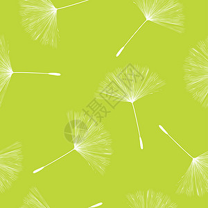 希望的种子Dandelion 种子型式插画