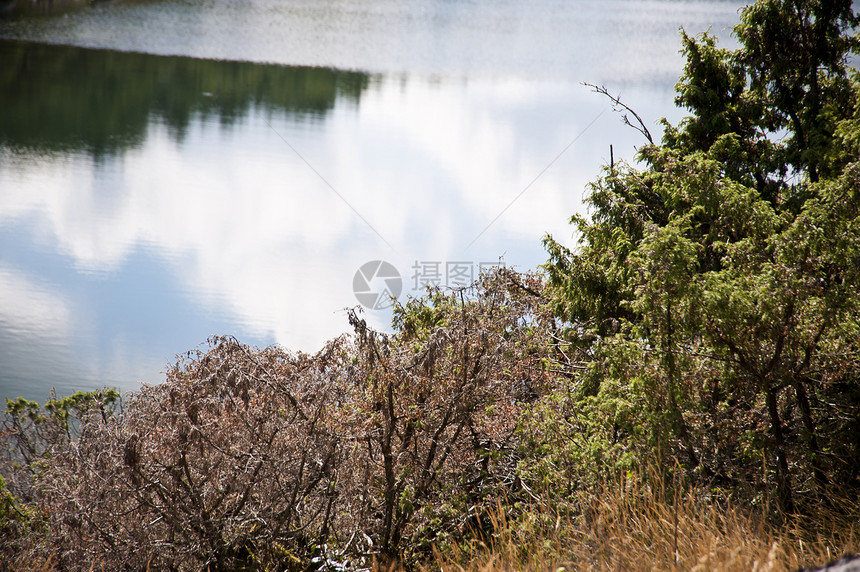 瑞典的景观岩石蓝色花岗岩荒地树木岛屿小岛天空海岸图片