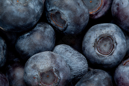 蓝莓堆水果节食食物影棚背景图片