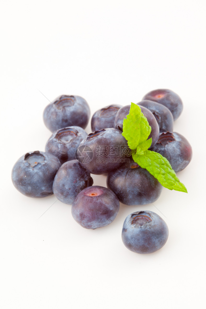 蓝莓背景食物水果节食白色影棚图片
