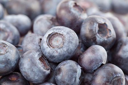 特写蓝莓水果食物营养甜点背景图片