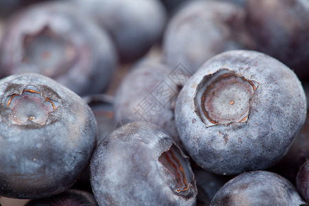蓝莓果水果营养食物甜点背景图片