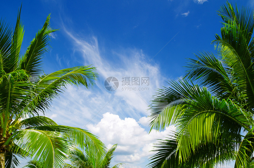 蓝蓝天空蓝色气氛气候云雾阳光天蓝色晴天雨云照片积雨图片