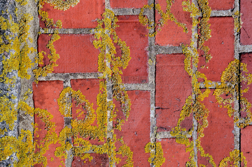 肮脏的红砖墙碎片背景生长建筑学风化砖墙红色苔藓石工建筑石墙水泥图片