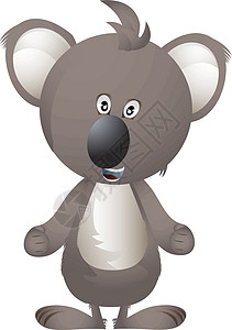 比熊高清素材Koala 熊矢量插画