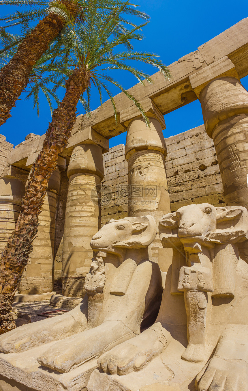 埃及卡纳克寺庙古老废墟文明文化人面旅行法老狮身古董纪念馆雕刻历史图片