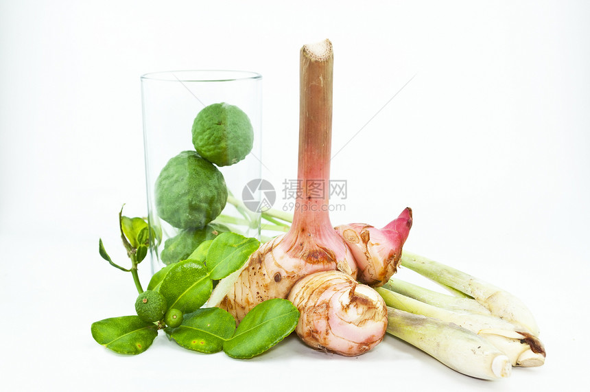 用于Tom yum功夫的泰国食品成分 在白色复古中被孤立柠檬烹饪美食草本植物块茎辣椒香料热带蔬菜果汁图片