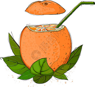 橙汁稻草作品热带植物水果插图橙子手绘树叶静物背景图片