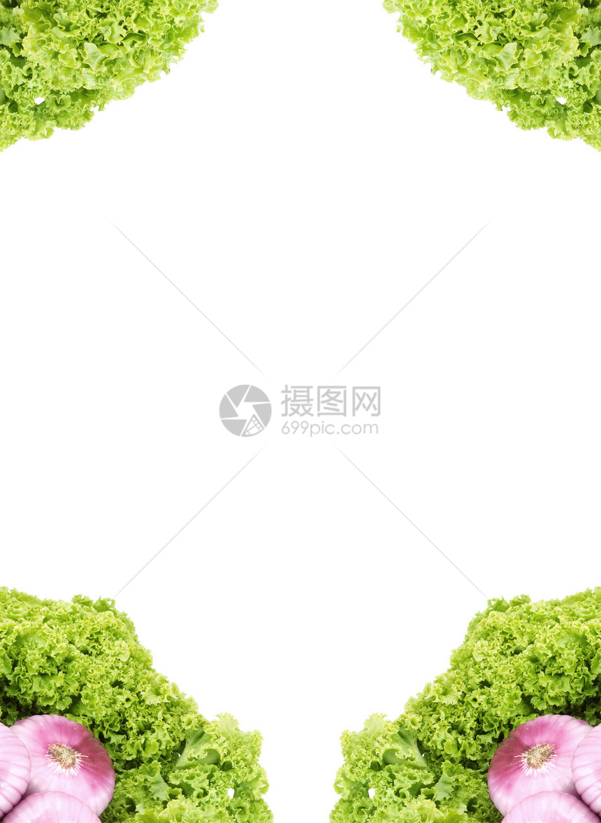 新鲜洋葱莴苣杂货养分植物白色长叶水平沙拉食物叶子图片