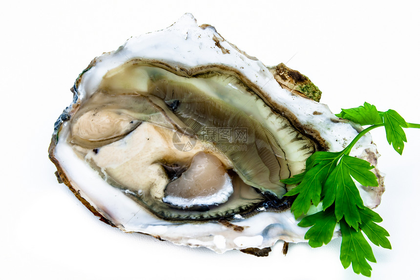 一个牡蛎熟食营养午餐奢华海洋海鲜贝壳健康壳类食物图片
