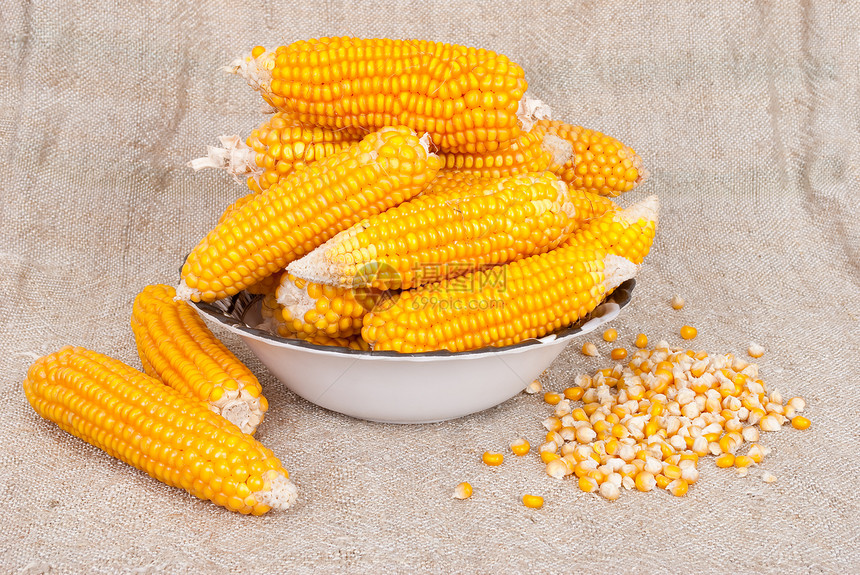 玉米的耳朵被撕裂在布隆普的背景上核心蔬菜盘子金子黄色棒子粮食收成季节性食物图片