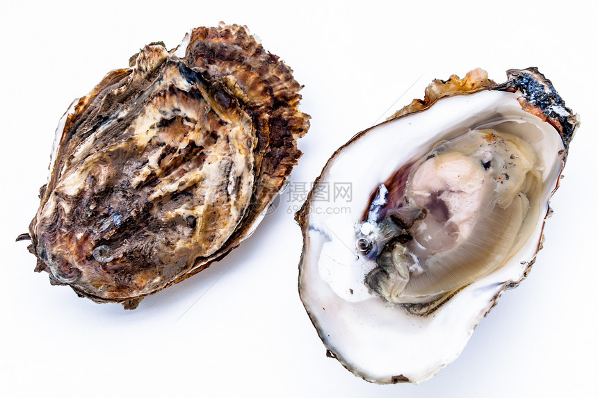 两只牡蛎熟食贝壳午餐壳类海鲜健康贝类营养奢华美食图片
