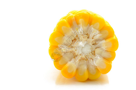 玉米棒子蔬菜庄稼食物黄色高清图片