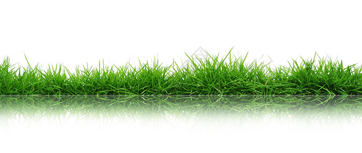 草场地环境绿色草叶植物草皮背景图片