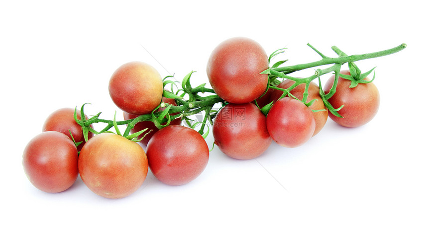 番茄是白色背景的图片