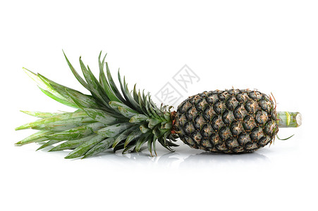 菠萝影棚静物对象水果白色健康饮食背景图片