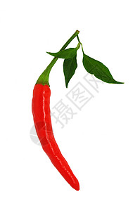 红辣椒食物水果胡椒饮食蔬菜红色背景图片