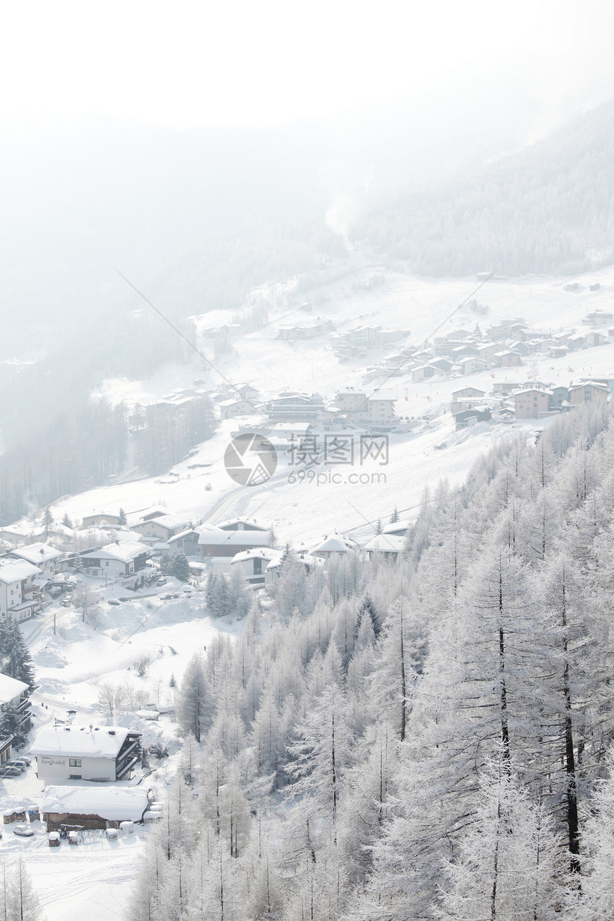 积雪中的森林场景季节高地木头公园首脑气候全景天气降雪图片