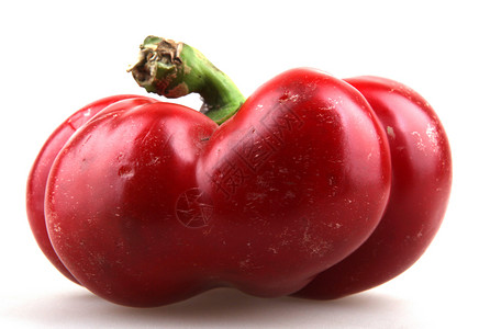 红辣椒投影活力红色胡椒蔬菜色彩香料白色颜色食物背景图片