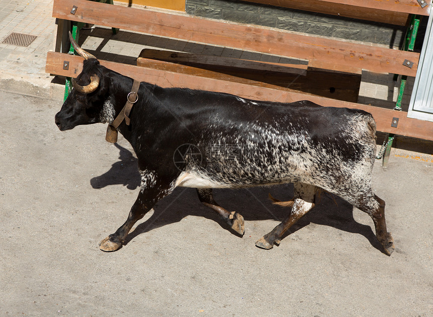 在西班牙街头盛宴上骑公牛狂言圆环文化热情旅行派对栅栏乐趣展示斗牛图片