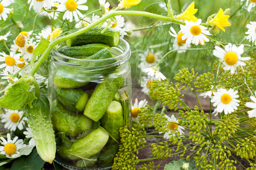 家里的黄瓜罐头营养食物花朵产品蔬菜收成玻璃盐渍维生素熟食图片
