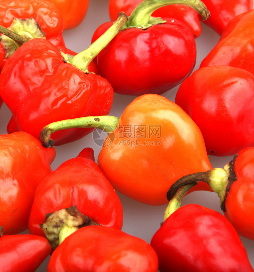 红辣椒植物厨房胡椒绳索有机食品床单干辣椒烹饪香料红色图片