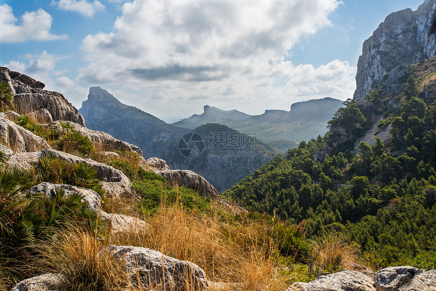 Mallorca山地观西班牙树木假期岩石爬坡太阳地标旅游悬崖蓝色石头图片