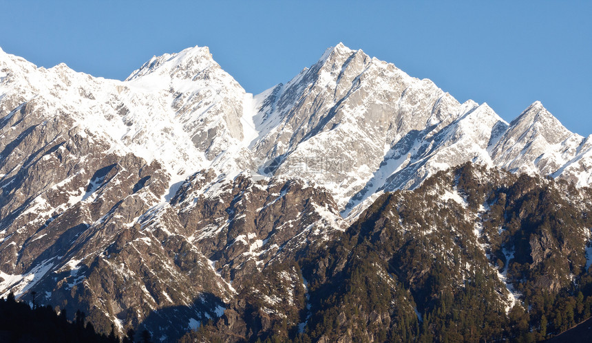 印度马纳利河谷喜马拉雅山脉的美丽山峰森林松树冰川全景图片