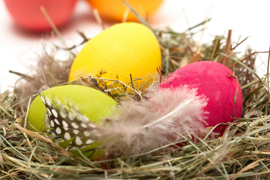 巢中的复活节鸡蛋羽毛黄色蓝色彩蛋稻草盘子红色绿色免费图片