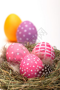 巢中的复活节鸡蛋羽毛盘子彩蛋红色蓝色稻草免费黄色绿色背景图片