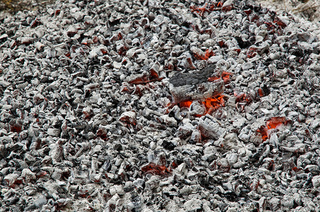 红色篝火活煤炭的背景背景