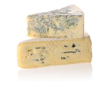 各种奶酪种类产品阴影羊乳模具静物白色蓝色食物黄色小吃背景图片