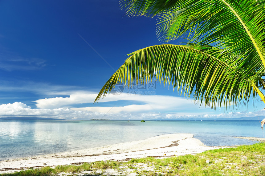 美丽的海滩风景海景旅行边缘天空海洋热带处女海浪棕榈图片