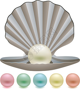 贝壳和珍珠和贝壳奢华阴影珍珠圆圈展示宝石蓝色海洋礼物艺术设计图片