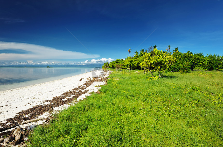 美丽的海滩地平线蓝色海景海岸线假期棕榈海洋处女荒野天空图片