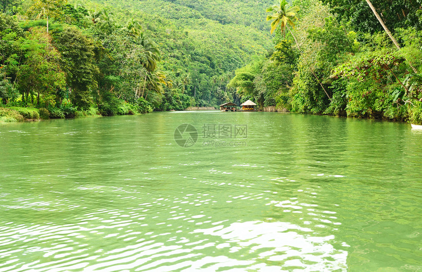 热带河流溪流场景绿色气候植物森林环境风景叶子树木图片