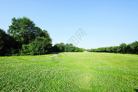 上午风景绿色太阳天空阳光场景乡村阴影日出草地背景图片