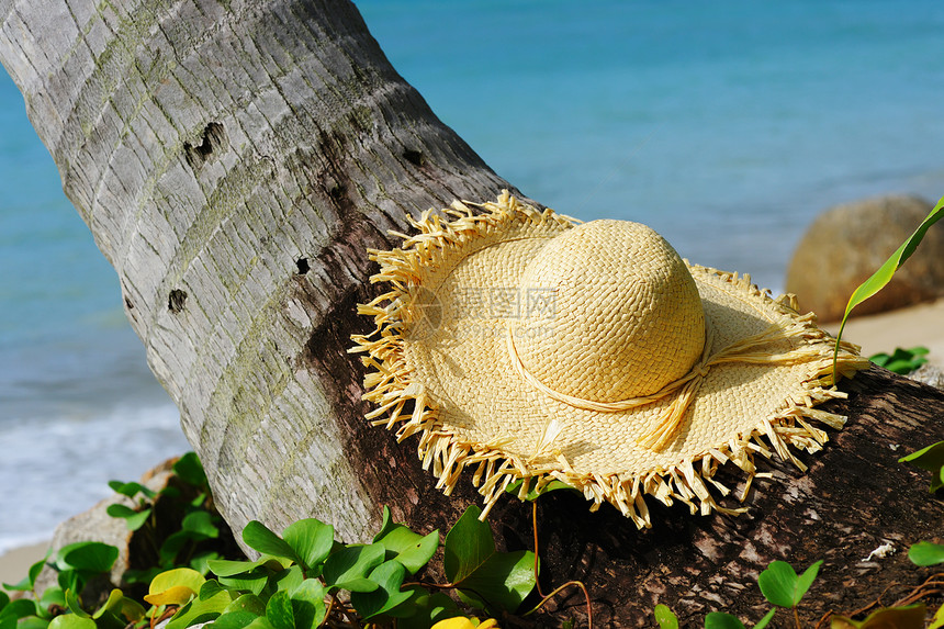 沙滩上的帽子风景海洋棕榈海景海岸线太阳黄色热带游客太阳帽图片