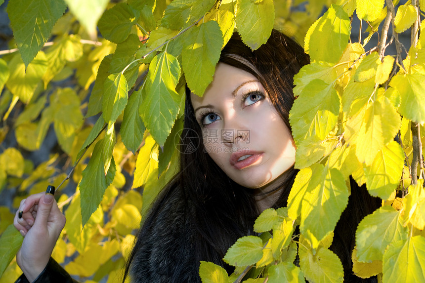 青春少女在树丛中的肖像图片