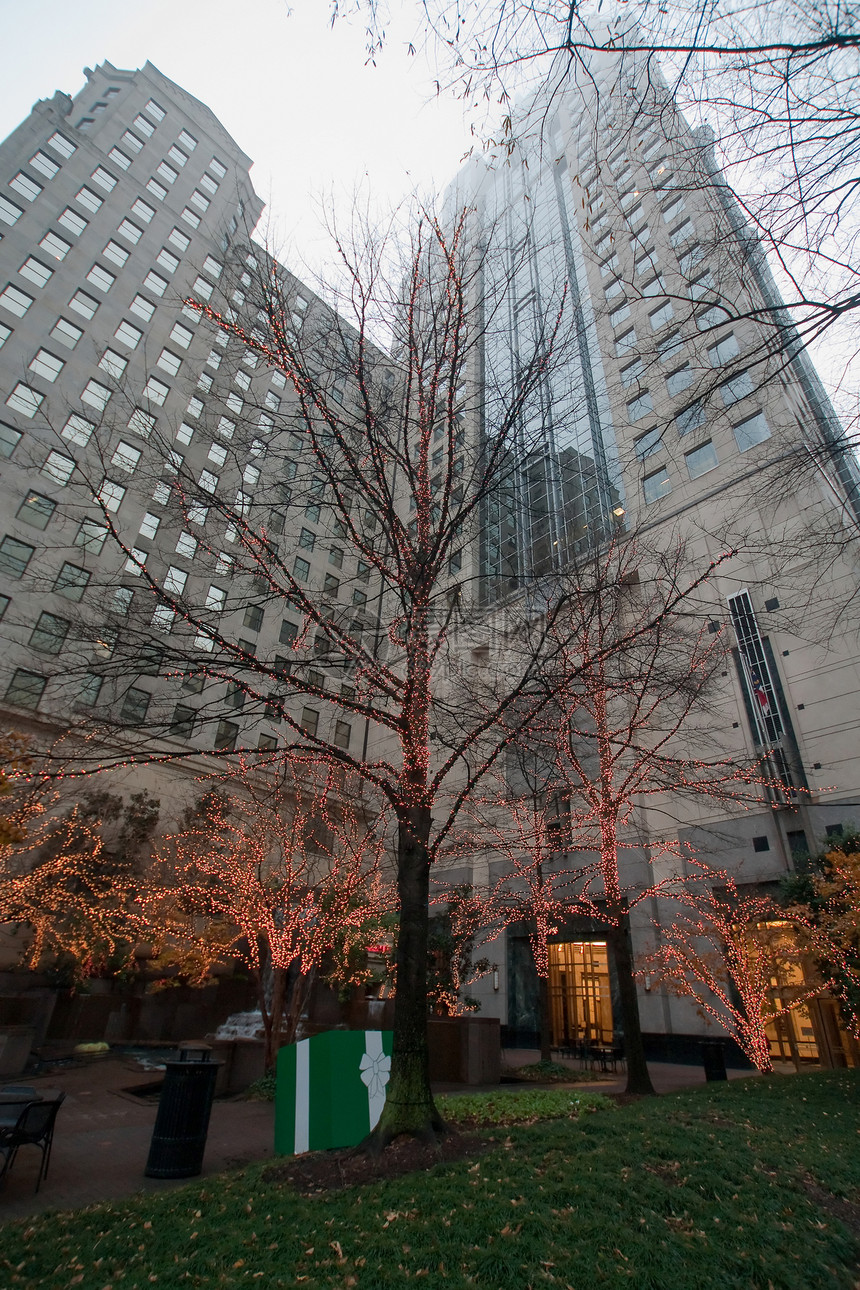 北卡罗莱纳风景景观大楼地标城市金融观光住宅区摩天大楼街道图片