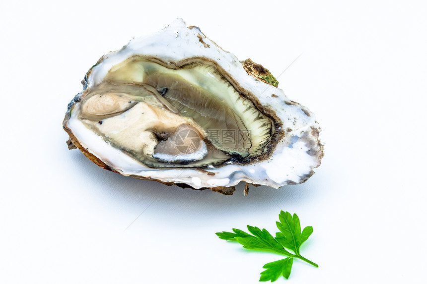 一个牡蛎壳类午餐奢华健康贝壳贝类营养熟食美食海鲜图片