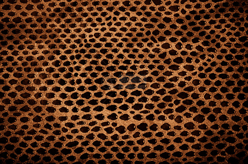 蛇皮皮革纹理皮肤线圈爬虫墙纸野生动物动物毒蛇材料宏观条纹图片