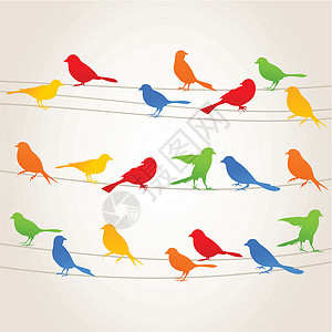 电线上鸽子鸟在一条线上5插画