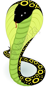 绿色眼镜蛇黄色圆圈兜帽新年卡通片背景图片