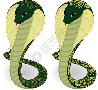 绿蛇 花纹状绿蛇背景图片